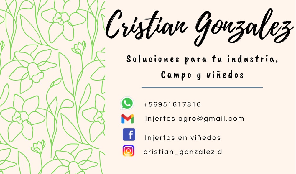 Tarjetas de presentación digitales